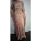 Lucknowi Chikankari saree in peach with embroidery and blouse piece
